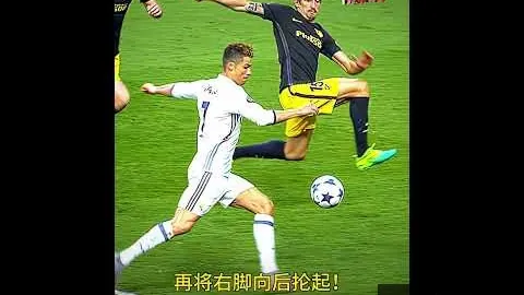 开云官网 100008 5